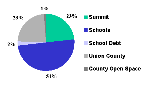 2007 City of Summit property tax distribution